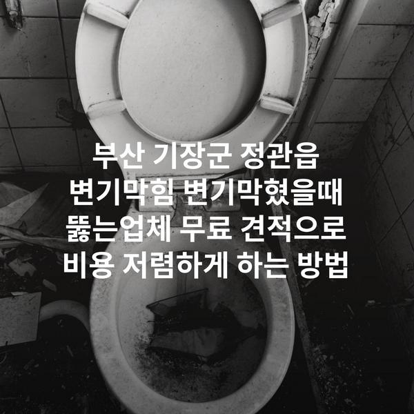 부산 기장군 정관읍 변기막힘 변기막혔을때 뚫는업체 무료 견적으로 비용 저렴하게 하는 방법
