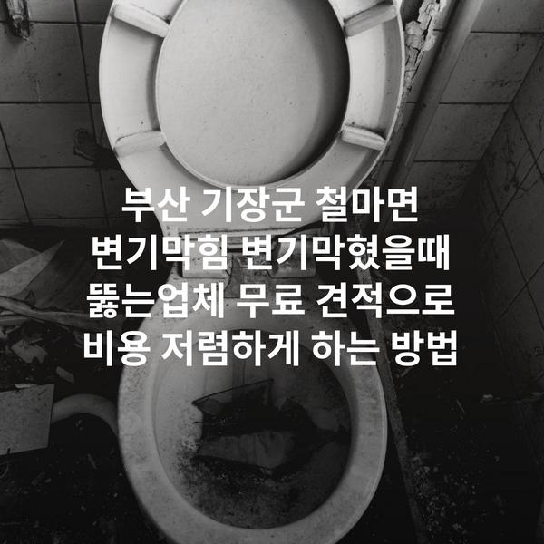 부산 기장군 철마면 변기막힘 변기막혔을때 뚫는업체 무료 견적으로 비용 저렴하게 하는 방법