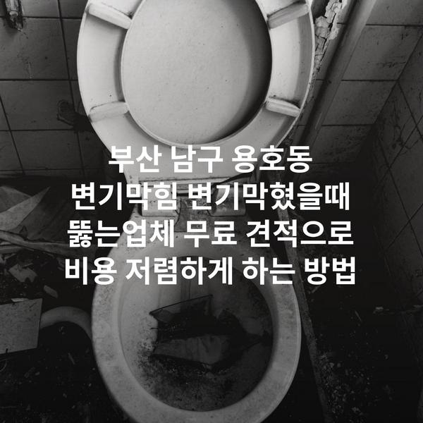 부산 남구 용호동 변기막힘 변기막혔을때 뚫는업체 무료 견적으로 비용 저렴하게 하는 방법