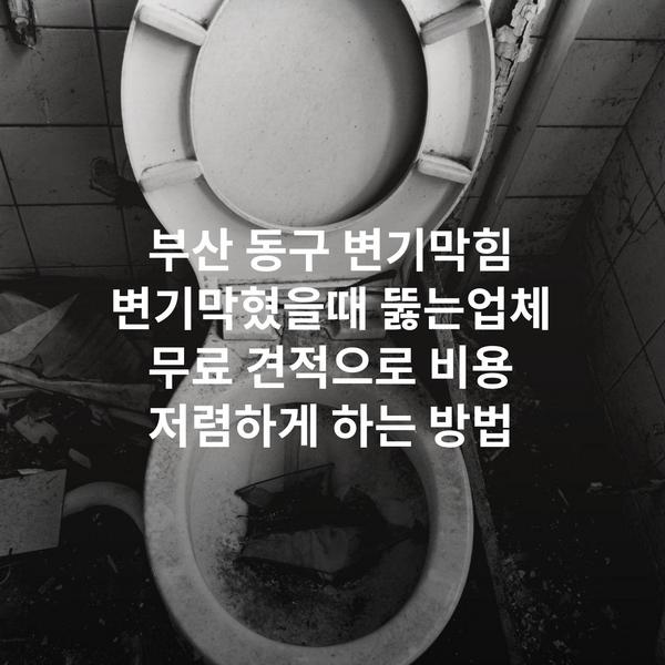 부산 동구 변기막힘 변기막혔을때 뚫는업체 무료 견적으로 비용 저렴하게 하는 방법
