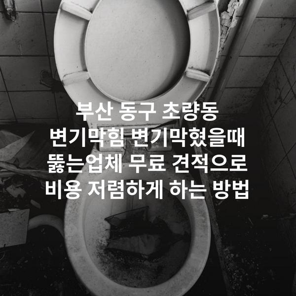 부산 동구 초량동 변기막힘 변기막혔을때 뚫는업체 무료 견적으로 비용 저렴하게 하는 방법