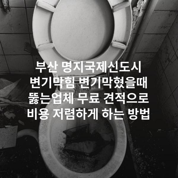부산 명지국제신도시 변기막힘 변기막혔을때 뚫는업체 무료 견적으로 비용 저렴하게 하는 방법