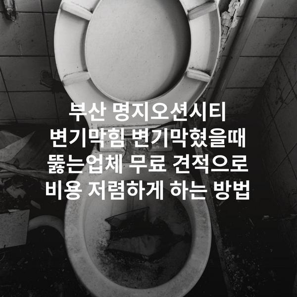 부산 명지오션시티 변기막힘 변기막혔을때 뚫는업체 무료 견적으로 비용 저렴하게 하는 방법