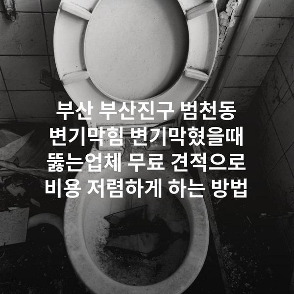 부산 부산진구 범천동 변기막힘 변기막혔을때 뚫는업체 무료 견적으로 비용 저렴하게 하는 방법
