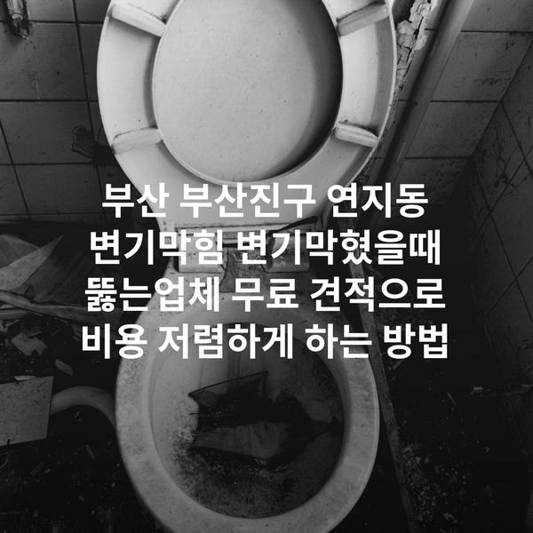 부산 부산진구 연지동 변기막힘 변기막혔을때 뚫는업체 무료 견적으로 비용 저렴하게 하는 방법