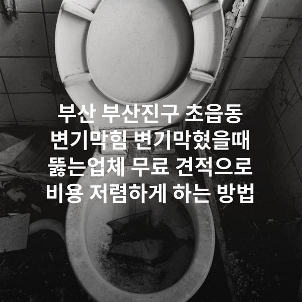 부산 부산진구 초읍동 변기막힘 변기막혔을때 뚫는업체 무료 견적으로 비용 저렴하게 하는 방법