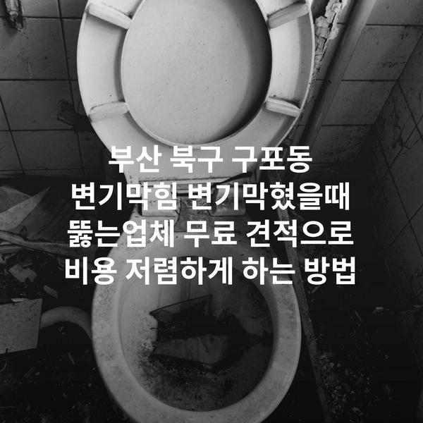 부산 북구 구포동 변기막힘 변기막혔을때 뚫는업체 무료 견적으로 비용 저렴하게 하는 방법