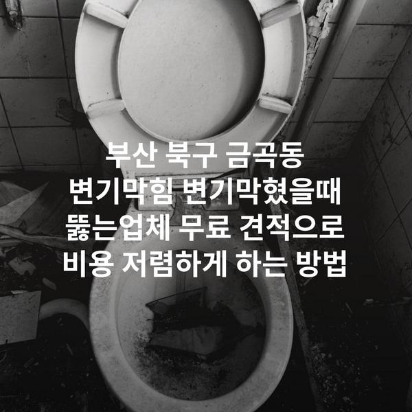부산 북구 금곡동 변기막힘 변기막혔을때 뚫는업체 무료 견적으로 비용 저렴하게 하는 방법