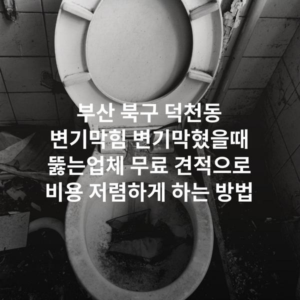 부산 북구 덕천동 변기막힘 변기막혔을때 뚫는업체 무료 견적으로 비용 저렴하게 하는 방법