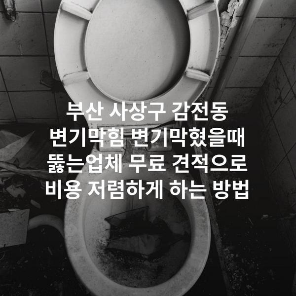 부산 사상구 감전동 변기막힘 변기막혔을때 뚫는업체 무료 견적으로 비용 저렴하게 하는 방법