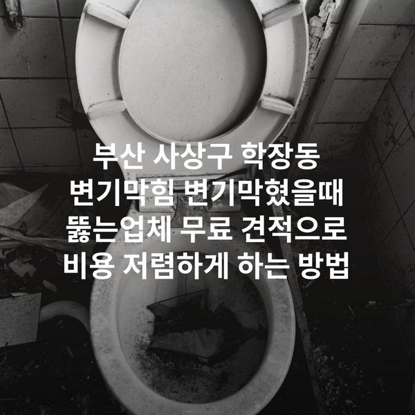 부산 사상구 학장동 변기막힘 변기막혔을때 뚫는업체 무료 견적으로 비용 저렴하게 하는 방법