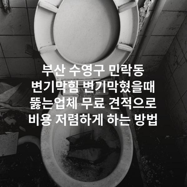부산 수영구 민락동 변기막힘 변기막혔을때 뚫는업체 무료 견적으로 비용 저렴하게 하는 방법