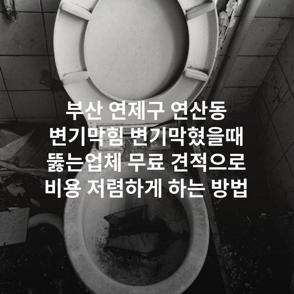 부산 연제구 연산동 변기막힘 변기막혔을때 뚫는업체 무료 견적으로 비용 저렴하게 하는 방법