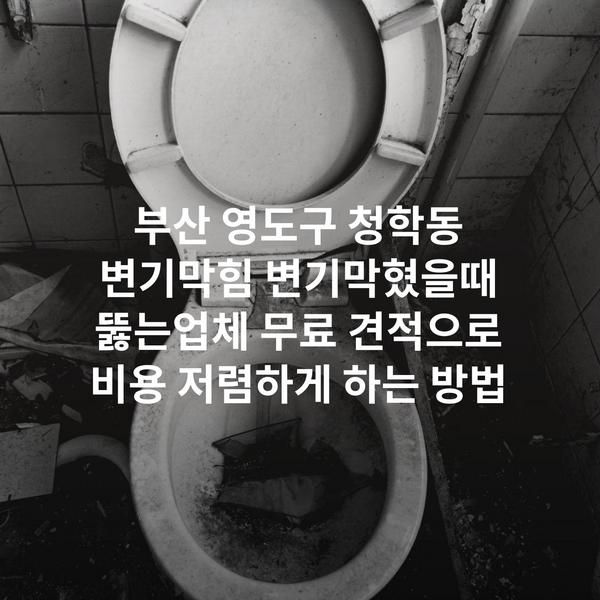 부산 영도구 청학동 변기막힘 변기막혔을때 뚫는업체 무료 견적으로 비용 저렴하게 하는 방법
