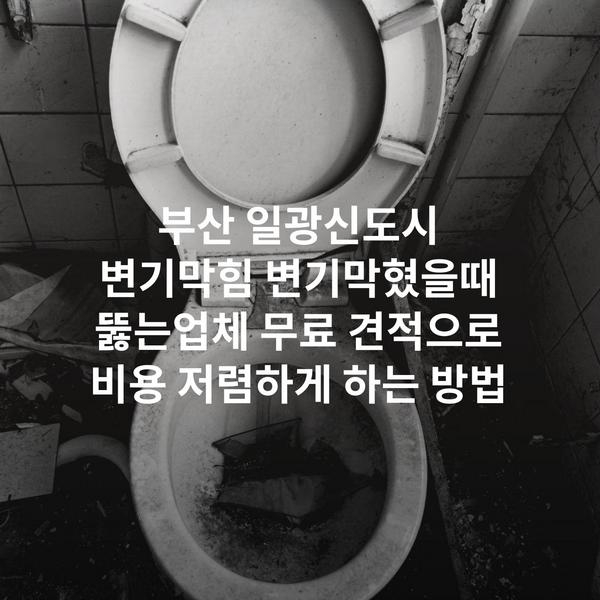 부산 일광신도시 변기막힘 변기막혔을때 뚫는업체 무료 견적으로 비용 저렴하게 하는 방법