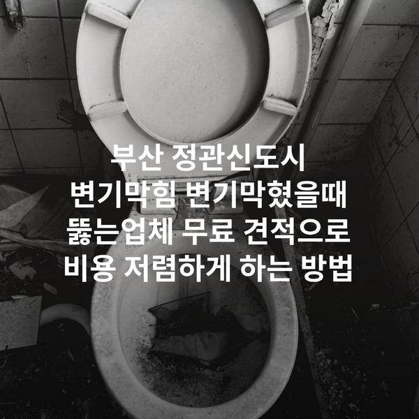 부산 정관신도시 변기막힘 변기막혔을때 뚫는업체 무료 견적으로 비용 저렴하게 하는 방법
