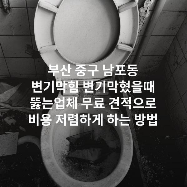 부산 중구 남포동 변기막힘 변기막혔을때 뚫는업체 무료 견적으로 비용 저렴하게 하는 방법