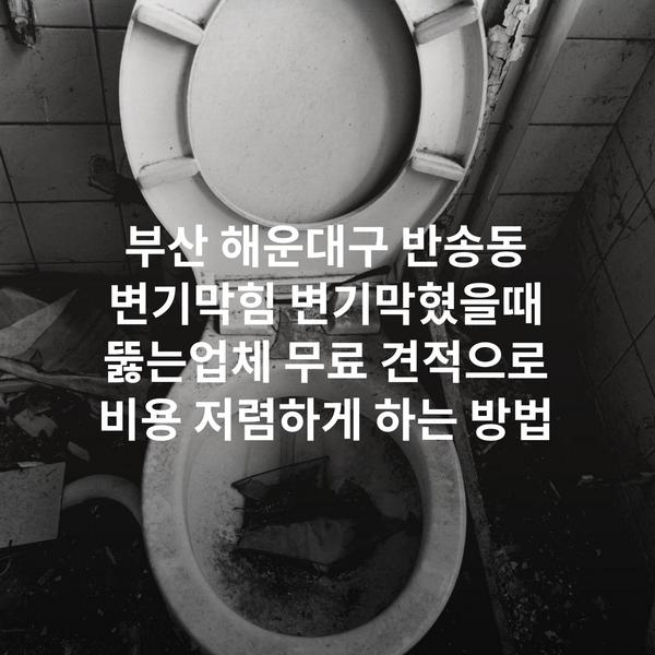 부산 해운대구 반송동 변기막힘 변기막혔을때 뚫는업체 무료 견적으로 비용 저렴하게 하는 방법