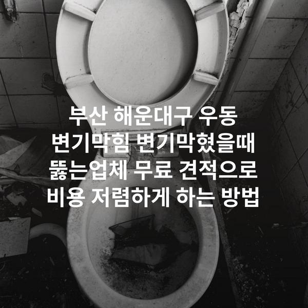 부산 해운대구 우동 변기막힘 변기막혔을때 뚫는업체 무료 견적으로 비용 저렴하게 하는 방법