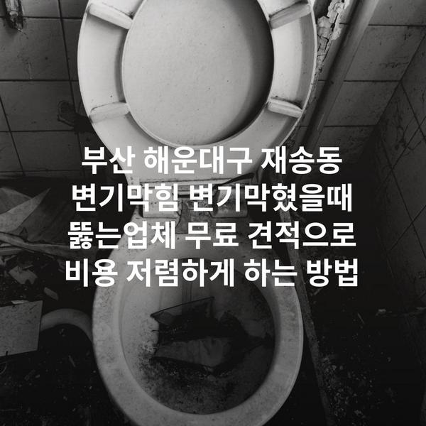 부산 해운대구 재송동 변기막힘 변기막혔을때 뚫는업체 무료 견적으로 비용 저렴하게 하는 방법