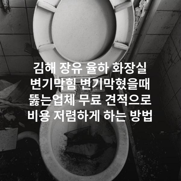 김해 장유 율하 화장실 변기막힘 변기막혔을때 뚫는업체 무료 견적으로 비용 저렴하게 하는 방법