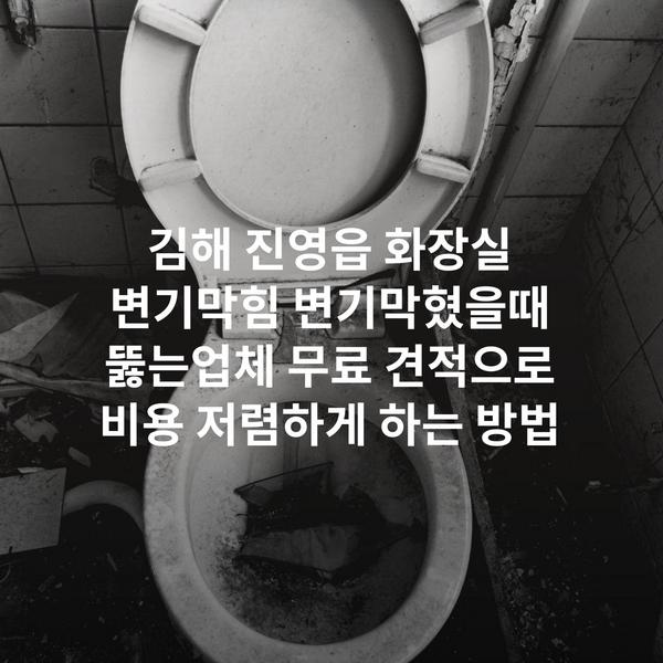 김해 진영읍 화장실 변기막힘 변기막혔을때 뚫는업체 무료 견적으로 비용 저렴하게 하는 방법