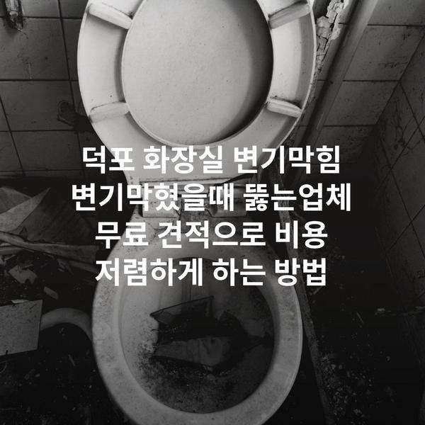 덕포 화장실 변기막힘 변기막혔을때 뚫는업체 무료 견적으로 비용 저렴하게 하는 방법