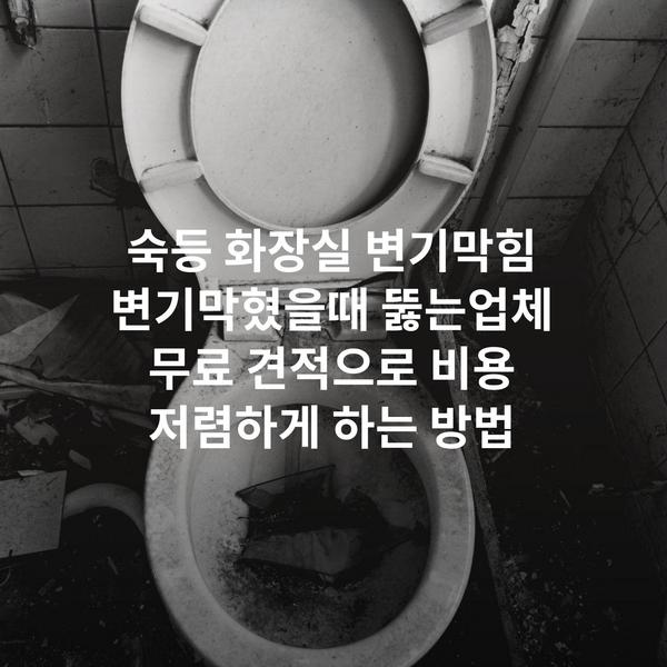 숙등 화장실 변기막힘 변기막혔을때 뚫는업체 무료 견적으로 비용 저렴하게 하는 방법