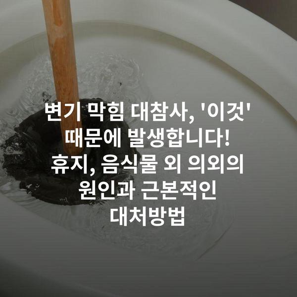 변기 막힘 대참사, '이것' 때문에 발생합니다! 휴지, 음식물 외 의외의 원인과 근본적인 대처방법