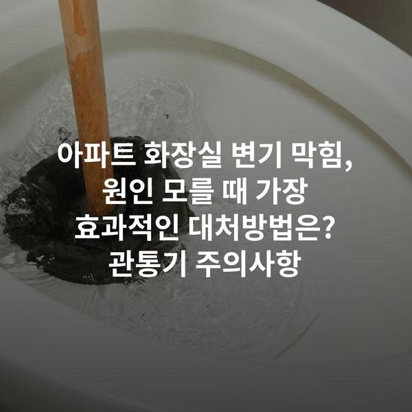아파트 화장실 변기 막힘, 원인 모를 때 가장 효과적인 대처방법은? 관통기 주의사항