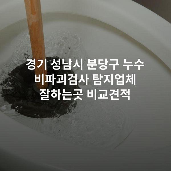 경기 성남시 분당구 누수 비파괴검사 탐지업체 잘하는곳 비교견적