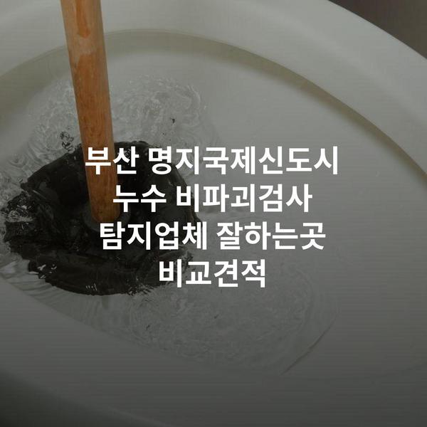 부산 명지국제신도시 누수 비파괴검사 탐지업체 잘하는곳 비교견적