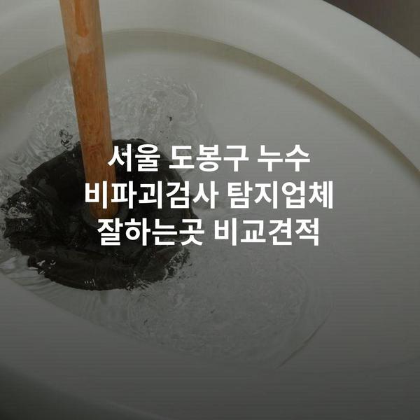 서울 도봉구 누수 비파괴검사 탐지업체 잘하는곳 비교견적