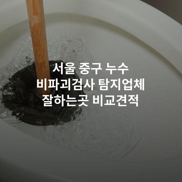 서울 중구 누수 비파괴검사 탐지업체 잘하는곳 비교견적