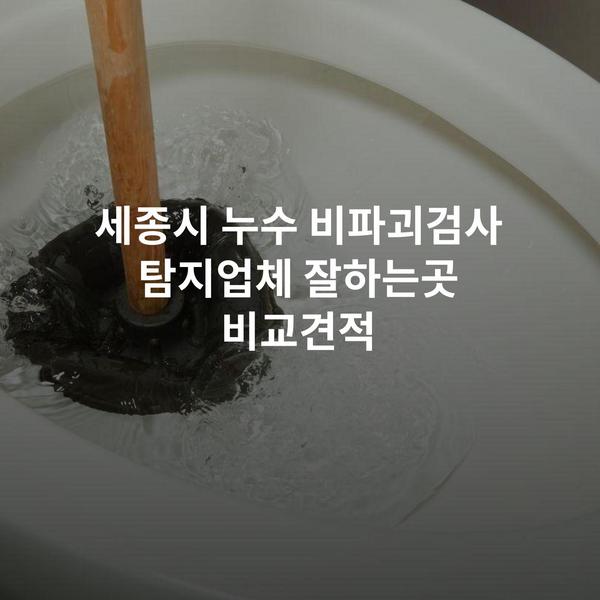 세종시 누수 비파괴검사 탐지업체 잘하는곳 비교견적