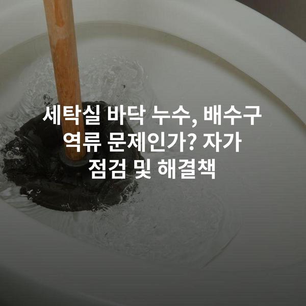 세탁실 바닥 누수, 배수구 역류 문제인가? 자가 점검 및 해결책