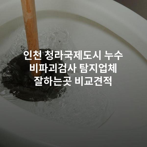인천 청라국제도시 누수 비파괴검사 탐지업체 잘하는곳 비교견적
