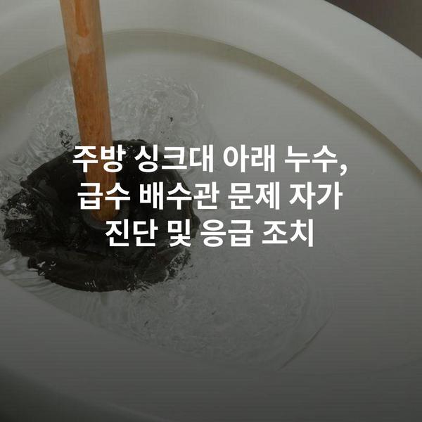 주방 싱크대 아래 누수, 급수 배수관 문제 자가 진단 및 응급 조치